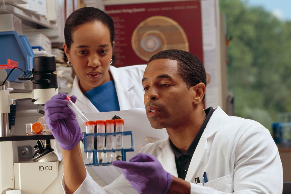 Two students studying a medical sample